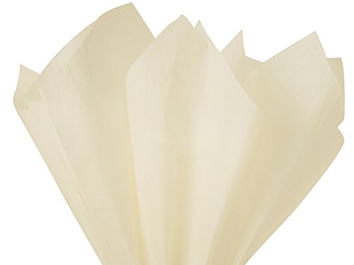 Soft Ivory Birch Gift wrap Tissue Paper