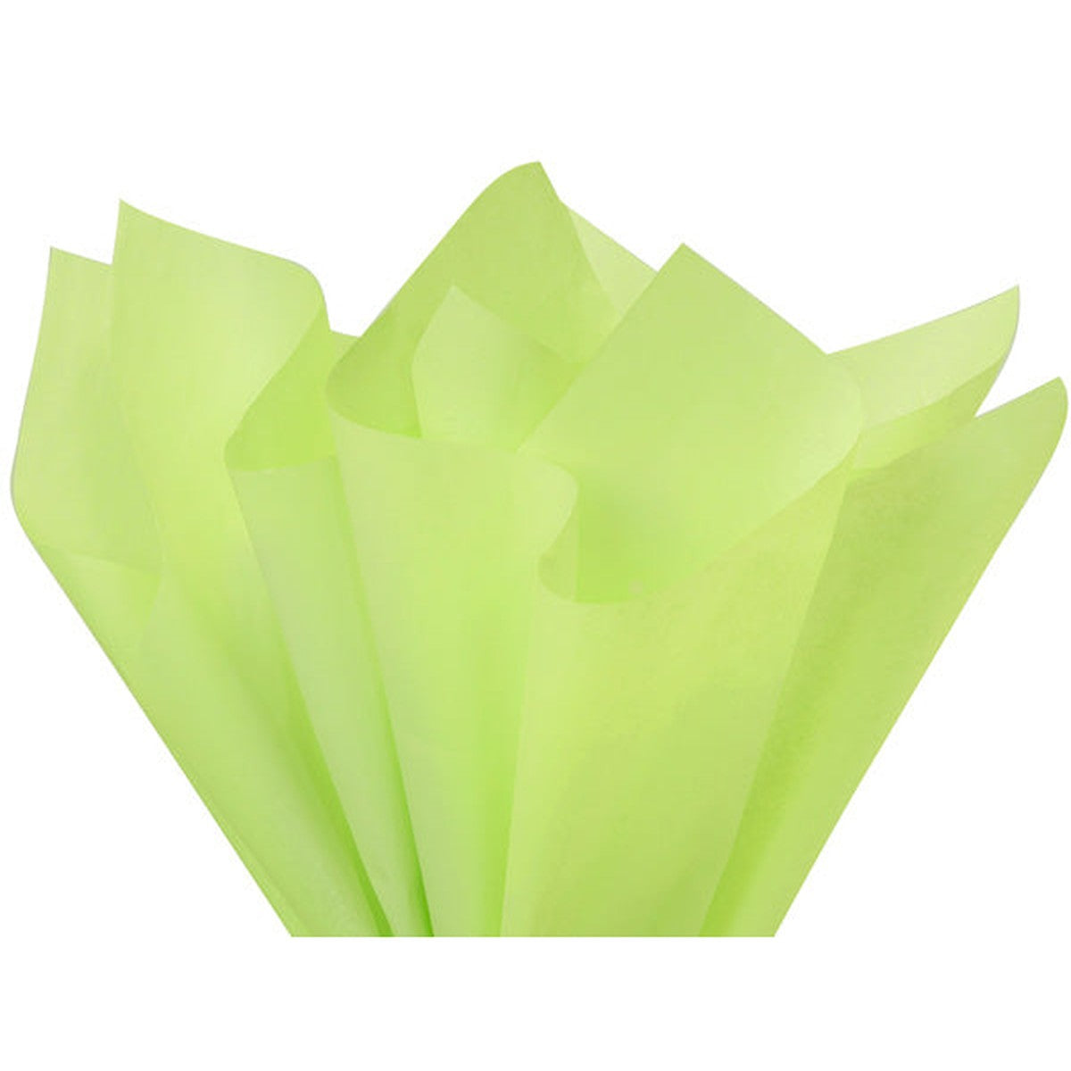 Pistachio Tissue Paper